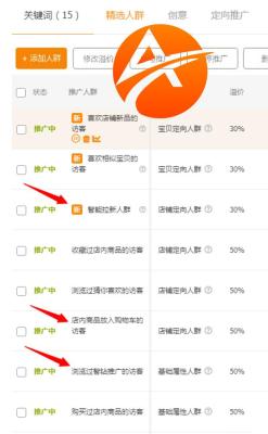 淘宝直通车精选人群价格怎么出,30天直通车精确引流特惠包有用吗