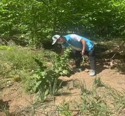 淘宝直通车精准还是广泛好,这个问题怎么回答满意的答案