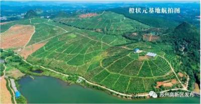 直通车优质人群要选吗,手机千牛怎么看直通车创意图