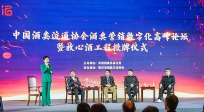 利用人群画像烧直通车,做电商女装最重要的是什么