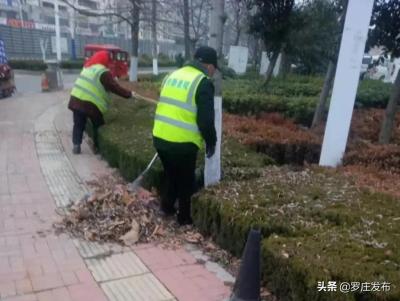 直通车节日人群哪个好,2019春节去哪旅游比较好