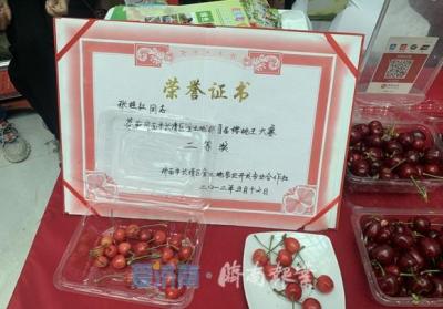 淘宝直通车种草人群什么意思,抖音账号怎么可以快速涨粉