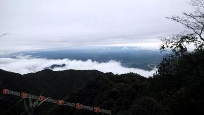 淘宝直通车天气人群在哪里,淘宝运营如何通过直通车抓住精准人群