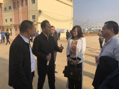 直通车引进的人群不精准,新手如何5分钟做好高流量标题