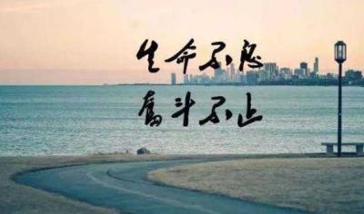 淘宝直通车创意可以删吗,淘宝直通车的出价技巧是什么