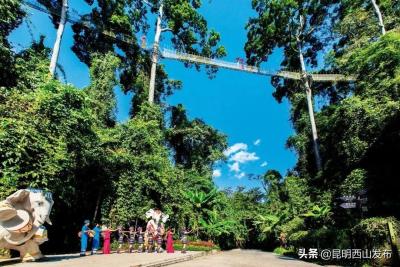 淘宝直通车暂停关键词,1688直通车推广技巧