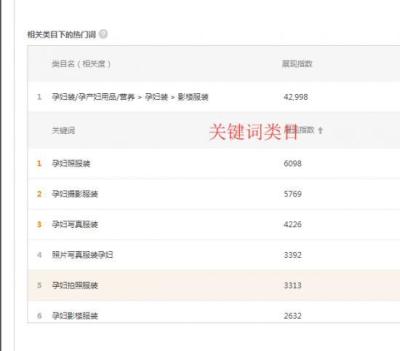 淘宝直通车推广全攻略下载,淘宝直通车怎么开