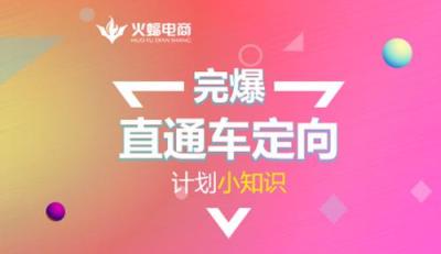 直通车带自然搜索开定向,如何开通直通车定向推广这个功能