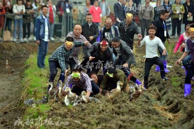 大米直通车的关键词有哪些,农产品该如何通过电商走出去