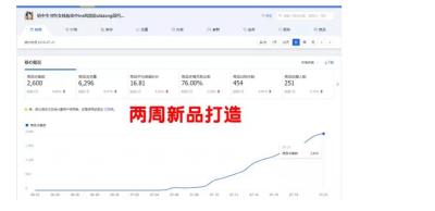 买家淘宝直通车怎么使用,直通车设置成功后多长时间生效