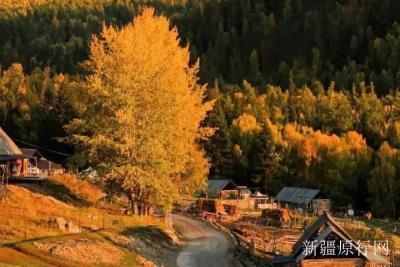 小红书直通车关键词优化,拼多多直播怎么推广