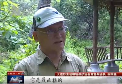 直通车定向流量锐减,抱团股大跌