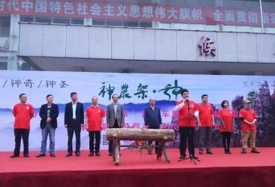 淘宝全球购店铺能开直通车么,怎样增加淘宝的自然搜索呢