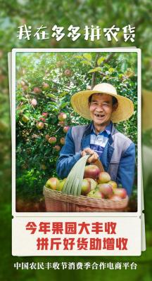 拼多多直通车定向哪个比较好,拼多多批发定向供货怎么发起