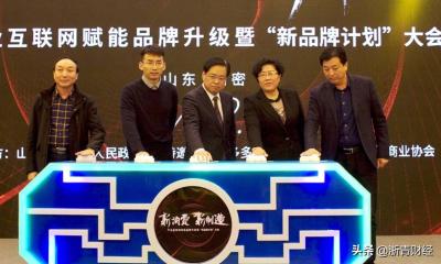 拼多多如何看直通车访客数量,拼多多店铺第5层级有多少流量