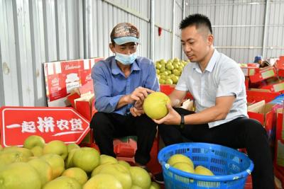 拼多多直通车基础销量,拼多多没有销量改价格有影响吗