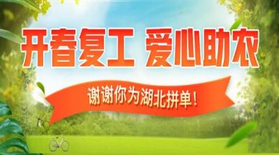 拼多多直通车商品比价,为什么拼多多三家店铺发一个快递