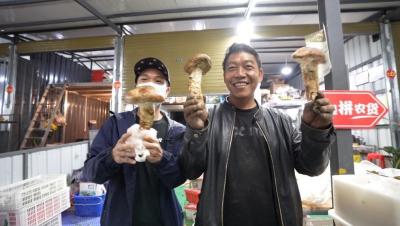 拼多多淘宝直通车日限额设置,拼多多微众银行单笔限额5000