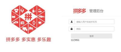直通车测图拼多多,拼多多可以查看别人直通车数据