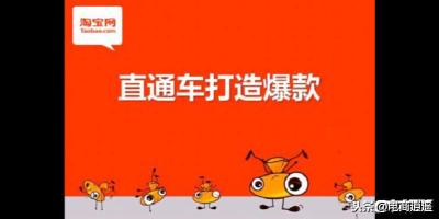 派代网直通车自然流量,网络营销很流行