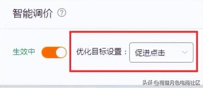 直通车流量智选改价格,直通车类目优选词包什么意思