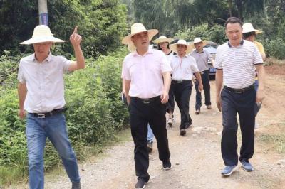 美贝直通车流量取出来,频繁使用支付宝的花呗会不会使征信变差