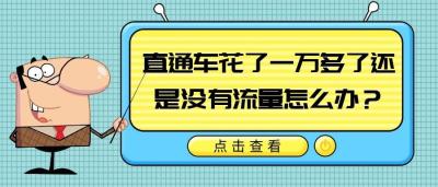 直通车一停店铺完全没流量,我们该如何去做到直通车不亏钱或者亏少点钱