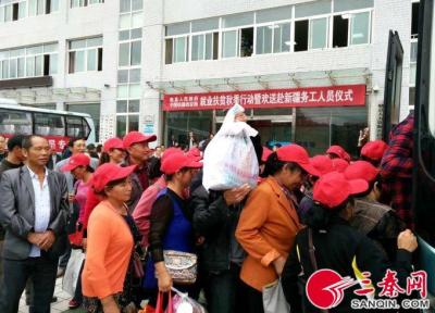 加速器无限流量国际直通车pc,淘宝运营岗位好做吗