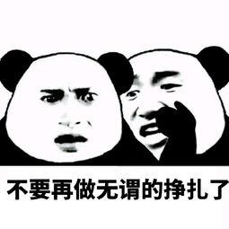 淘宝直通车一点就没有,为什么淘宝直通车出价1元没有点击