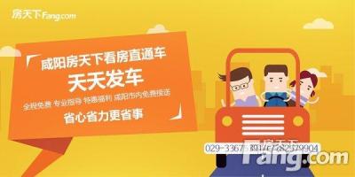 直通车流量与成交比,拼多多直通车人群怎么选择
