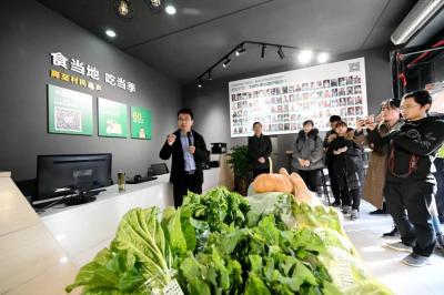 淘宝货比直通车是什么意思,是做淘宝还是拼多多