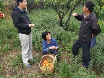 淘宝直通车选词工具将军令,世界杯阿根廷为什么会输给克罗地亚