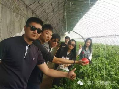 淘宝新店直通车每天烧50元,淘宝直通车如何快速提高质量分降低ppc