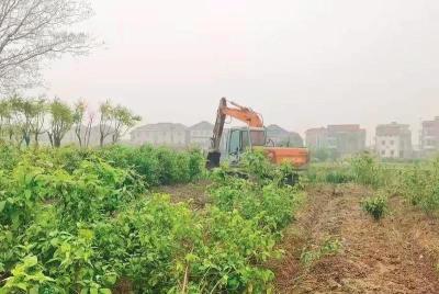 淘宝直通车可以试用吗,a320b品牌直通车怎么用