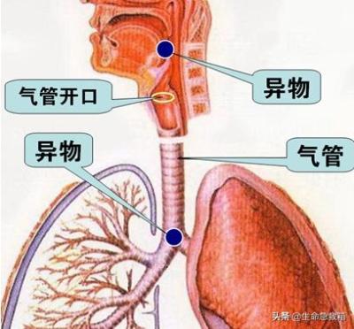 淘宝直通车无效点击具体体现,阿里巴巴国际站中国制造网gofair相比