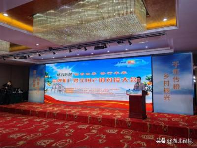 淘宝直通车创意优选什么意思,新零售具备什么样的特点