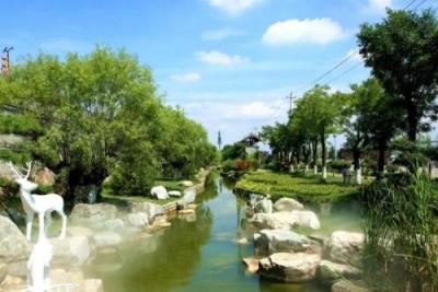母亲节淘宝直通车图,今年因为疫情全国的实体店倒闭很多