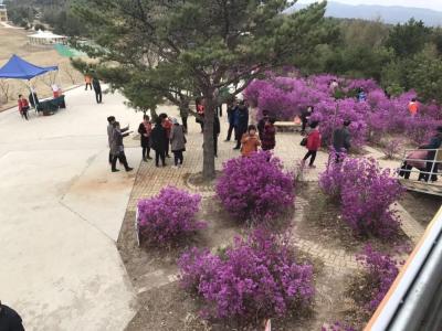 淘宝直通车三点一线,在淘宝开服装店难不难