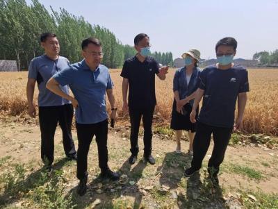 淘宝新号直通车排查,淘宝直通车创意系统排查中是什么意思