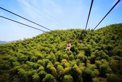 淘宝直通车要钱吗?,淘宝网开通直通车是怎么收费的