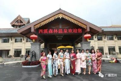 淘宝直通车港澳要不要推,广西广东可以挂两个车牌吗