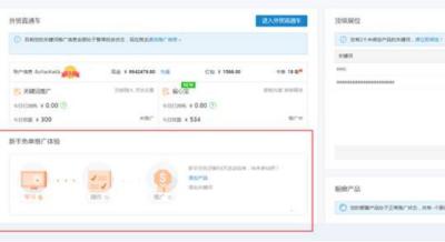 淘宝直通车充值不能用本账户,淘宝上的直通车到底是什么意思