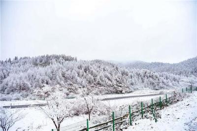 淘宝直通车优化日志表,专升本有什么方法