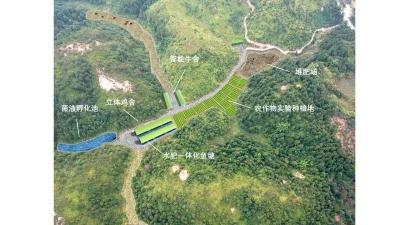 淘宝直通车设置金額,现在开淘宝店需要多少成本才能运营好