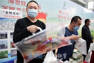 淘宝直通车显示种草是什么意思,云南有哪些旅游景点值得去