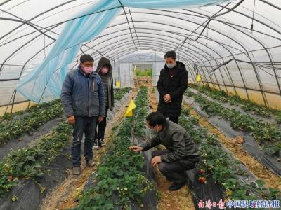 网销宝相当于淘宝的直通车,如何学习淘宝运营