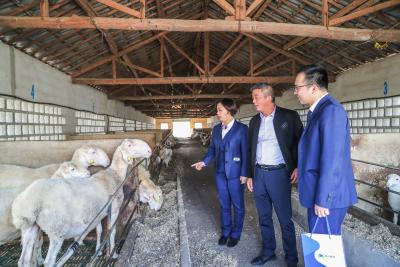 简述淘宝直通车的准入条件,考试通过为什么直通车还是暂停使用