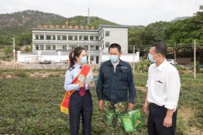 淘宝直通车发票申请需要半年吗,电子商务的前景好吗
