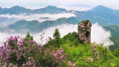 淘宝直通车指定区域,淘宝直通车关键词质量得分如何提升