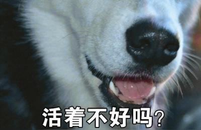 抖音上的淘宝精选是直通车吗,淘宝的每日精选从哪里进